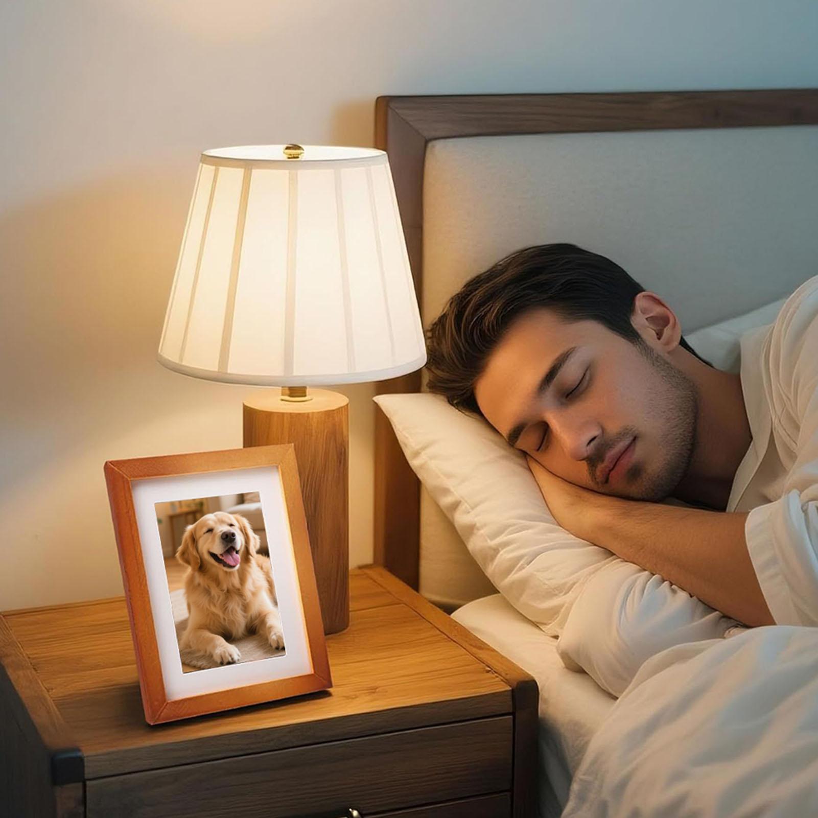 Safe Stash Frame Discreet Stor - Home Office Passport recension och pris